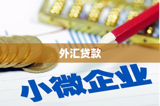 陵川外汇贷款