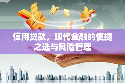陵川信用贷款，现代金融的便捷之选与风险管理