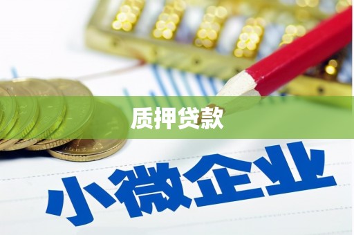 陵川质押贷款