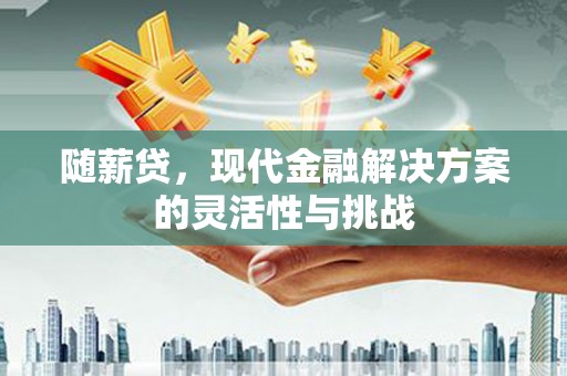 陵川随薪贷，现代金融解决方案的灵活性与挑战