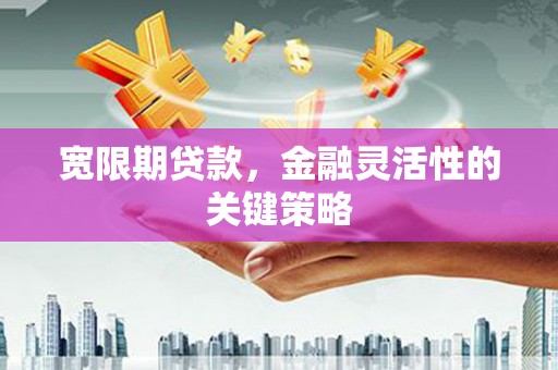 陵川宽限期贷款，金融灵活性的关键策略