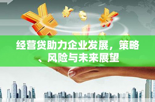 陵川经营贷助力企业发展，策略、风险与未来展望