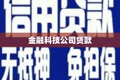 陵川金融科技公司贷款