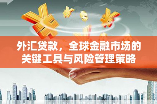陵川外汇贷款，全球金融市场的关键工具与风险管理策略