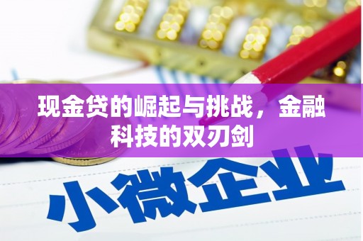 陵川现金贷的崛起与挑战，金融科技的双刃剑