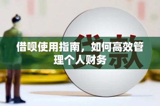 陵川借呗使用指南，如何高效管理个人财务