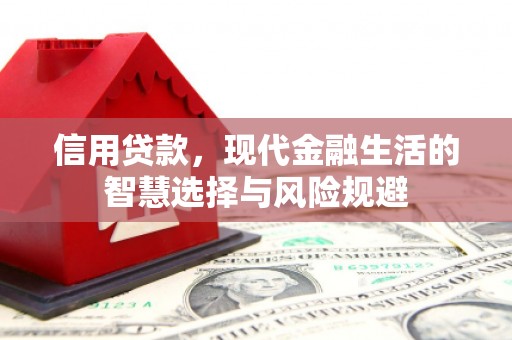 陵川信用贷款，现代金融生活的智慧选择与风险规避