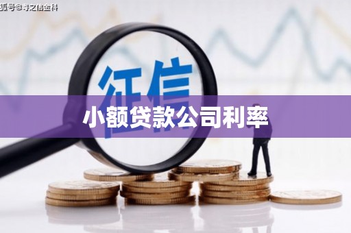 陵川小额贷款公司利率