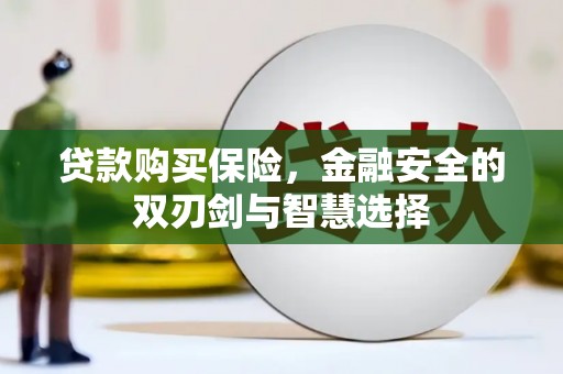 陵川贷款购买保险，金融安全的双刃剑与智慧选择