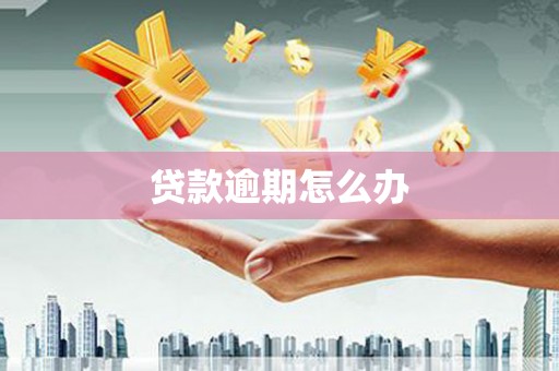 陵川贷款逾期怎么办