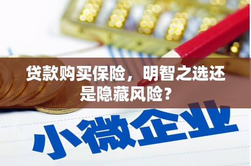 陵川贷款购买保险，明智之选还是隐藏风险？