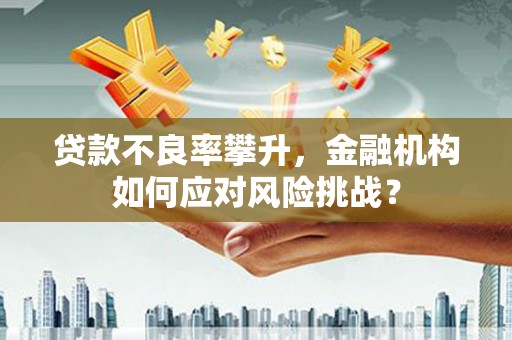 陵川贷款不良率攀升，金融机构如何应对风险挑战？