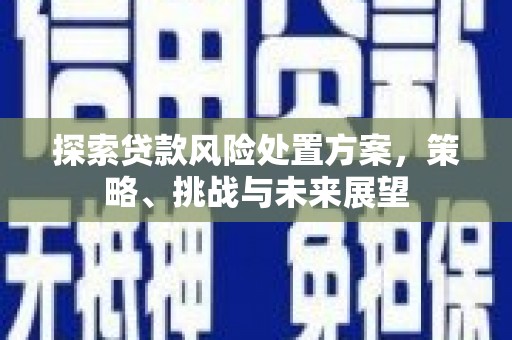 陵川探索贷款风险处置方案，策略、挑战与未来展望