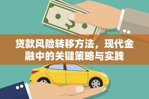 陵川贷款风险转移方法，现代金融中的关键策略与实践