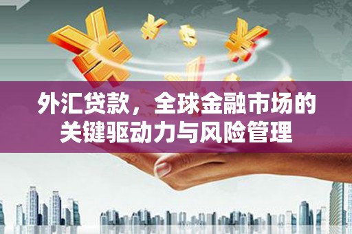 陵川外汇贷款，全球金融市场的关键驱动力与风险管理