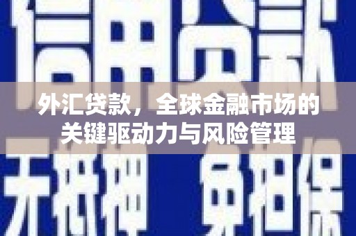 陵川外汇贷款，全球金融市场的关键驱动力与风险管理
