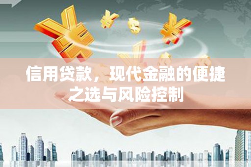 陵川信用贷款，现代金融的便捷之选与风险控制
