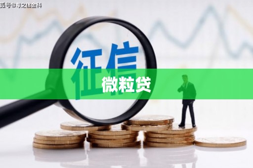 陵川微粒贷
