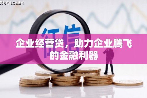 陵川企业经营贷，助力企业腾飞的金融利器