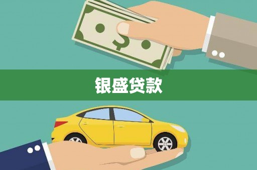 陵川银盛贷款
