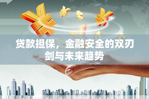 陵川贷款担保，金融安全的双刃剑与未来趋势