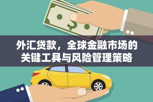 陵川外汇贷款，全球金融市场的关键工具与风险管理策略