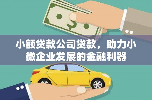 陵川小额贷款公司贷款，助力小微企业发展的金融利器