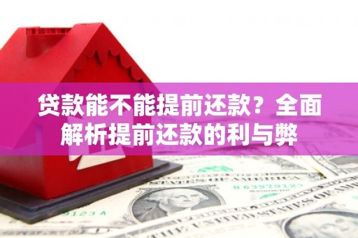 陵川贷款能不能提前还款？全面解析提前还款的利与弊