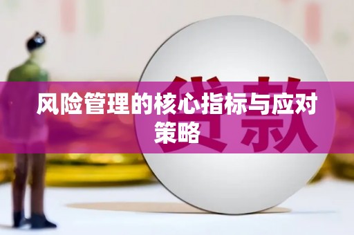 陵川风险管理的核心指标与应对策略