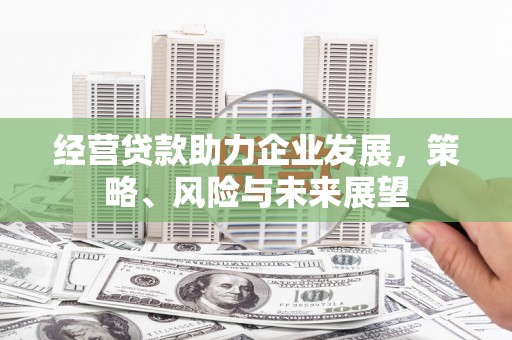 陵川经营贷款助力企业发展，策略、风险与未来展望