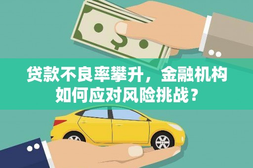 陵川贷款不良率攀升，金融机构如何应对风险挑战？