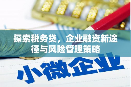 陵川探索税务贷，企业融资新途径与风险管理策略