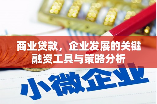 陵川商业贷款，企业发展的关键融资工具与策略分析