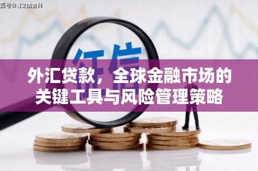 陵川外汇贷款，全球金融市场的关键工具与风险管理策略