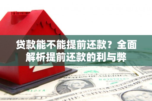 陵川贷款能不能提前还款？全面解析提前还款的利与弊