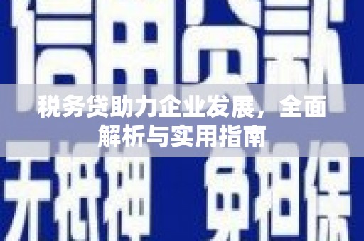 陵川税务贷助力企业发展，全面解析与实用指南