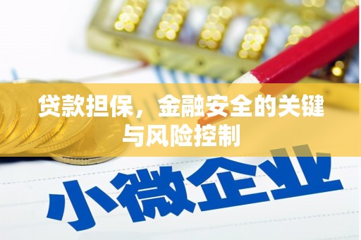 陵川贷款担保，金融安全的关键与风险控制