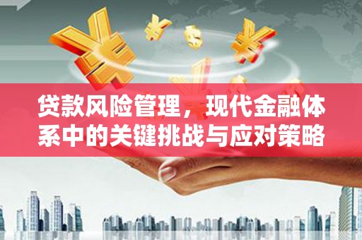 陵川贷款风险管理，现代金融体系中的关键挑战与应对策略