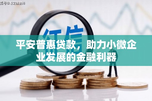 陵川平安普惠贷款，助力小微企业发展的金融利器