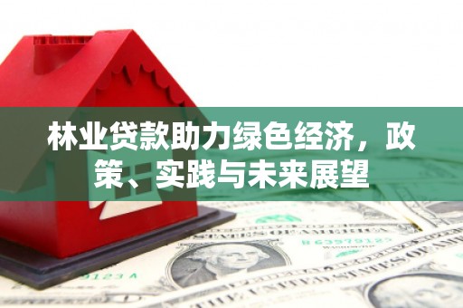 陵川林业贷款助力绿色经济，政策、实践与未来展望