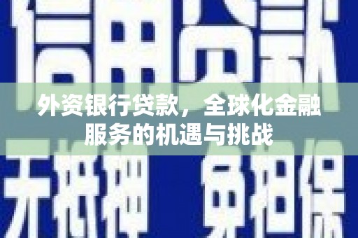 陵川外资银行贷款，全球化金融服务的机遇与挑战