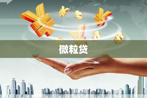 陵川微粒贷