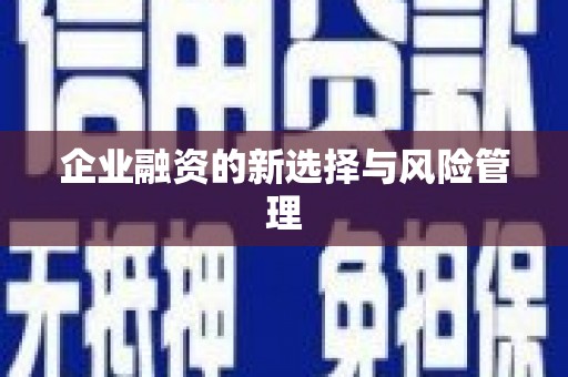 陵川企业融资的新选择与风险管理