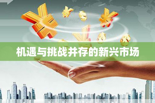 陵川机遇与挑战并存的新兴市场